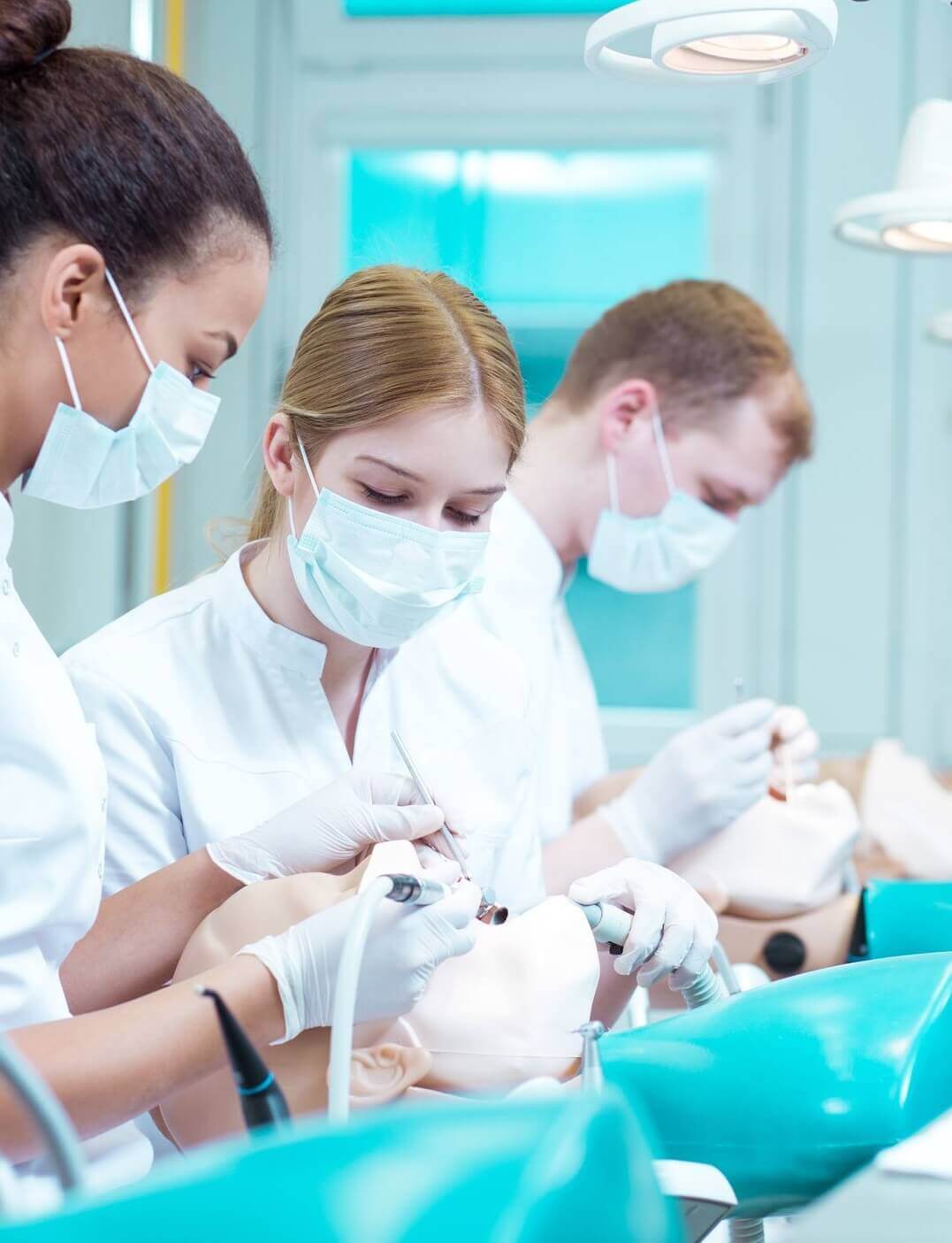 Dental treatments Dentsoftware the best dental practice management software